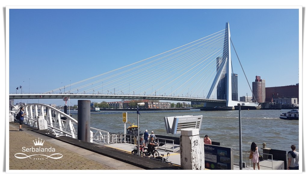Jembatan Erasmus, Wisata Rotterdam, Asiknya Jalan-Jalan di Belanda